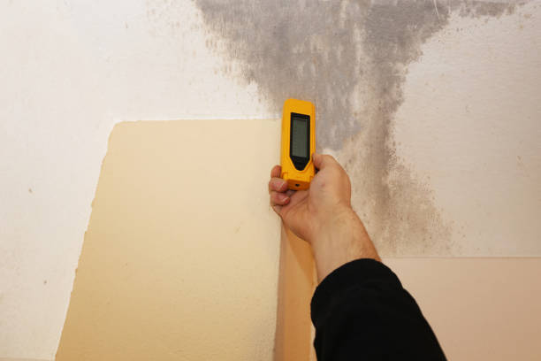 Best Residential Mold Inspection & Testing  in Martinez, GA